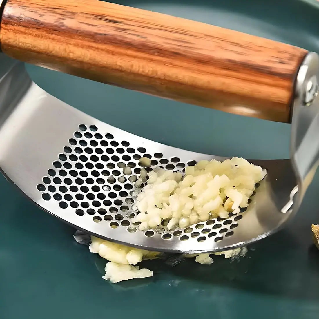 XMSJ Garlic Press Rocker Stainless Steel Ginger Crusher Mincer Squeezer