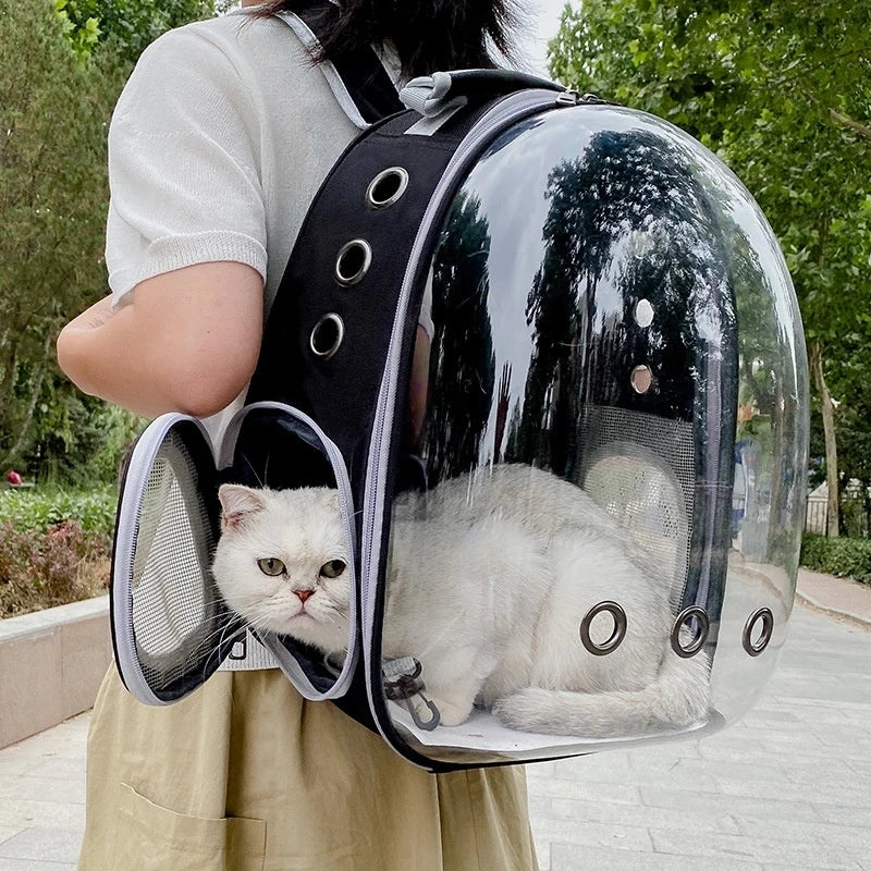 Space Pet Carrier Backpack For Cats And Small Dogs