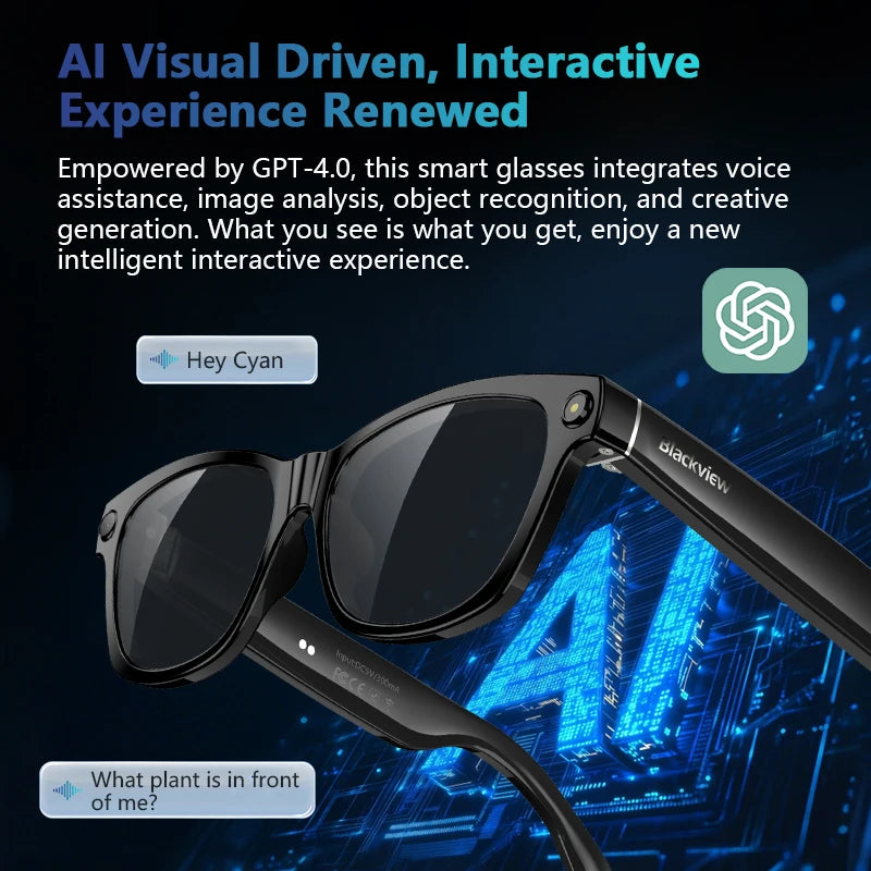 iowodo AI Smart Glasses With 2K Camera Bluetooth Voice Assistant