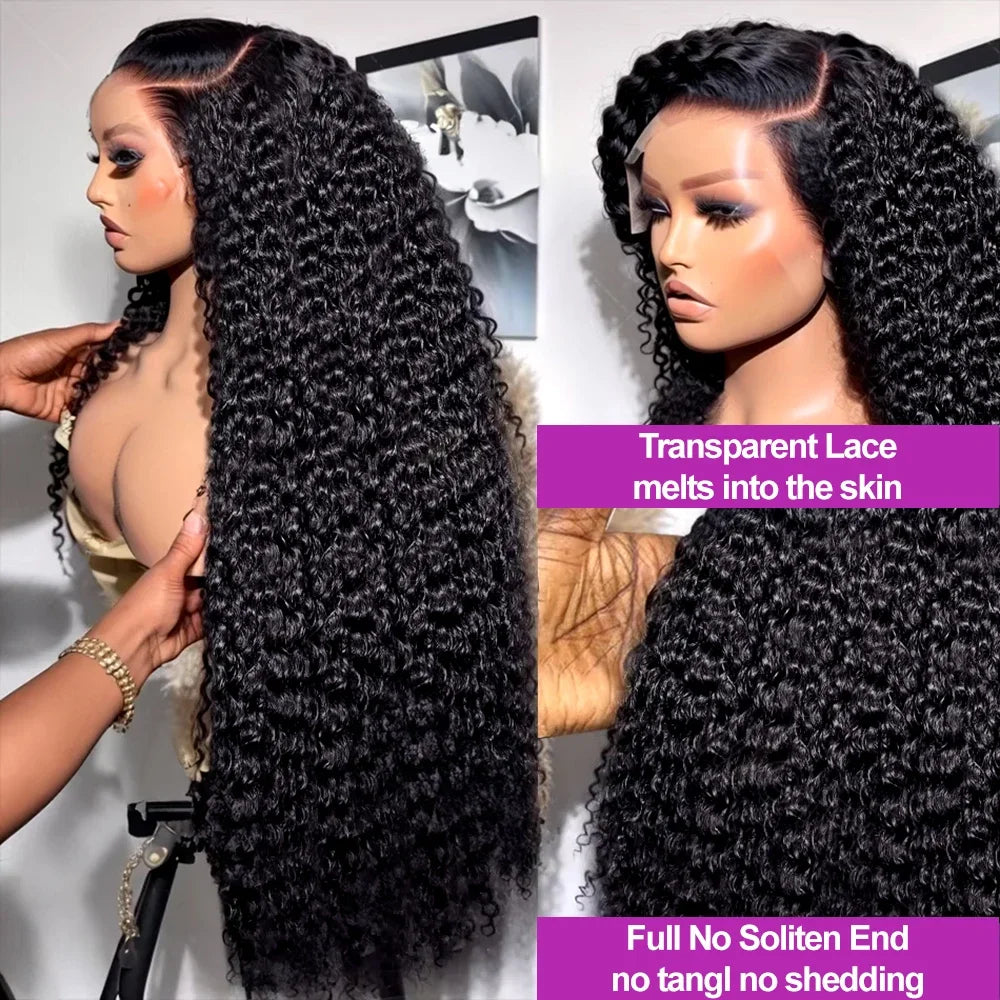 Silkeny Wig Brazilian 100 Percent Human Hair Lace Front Wig