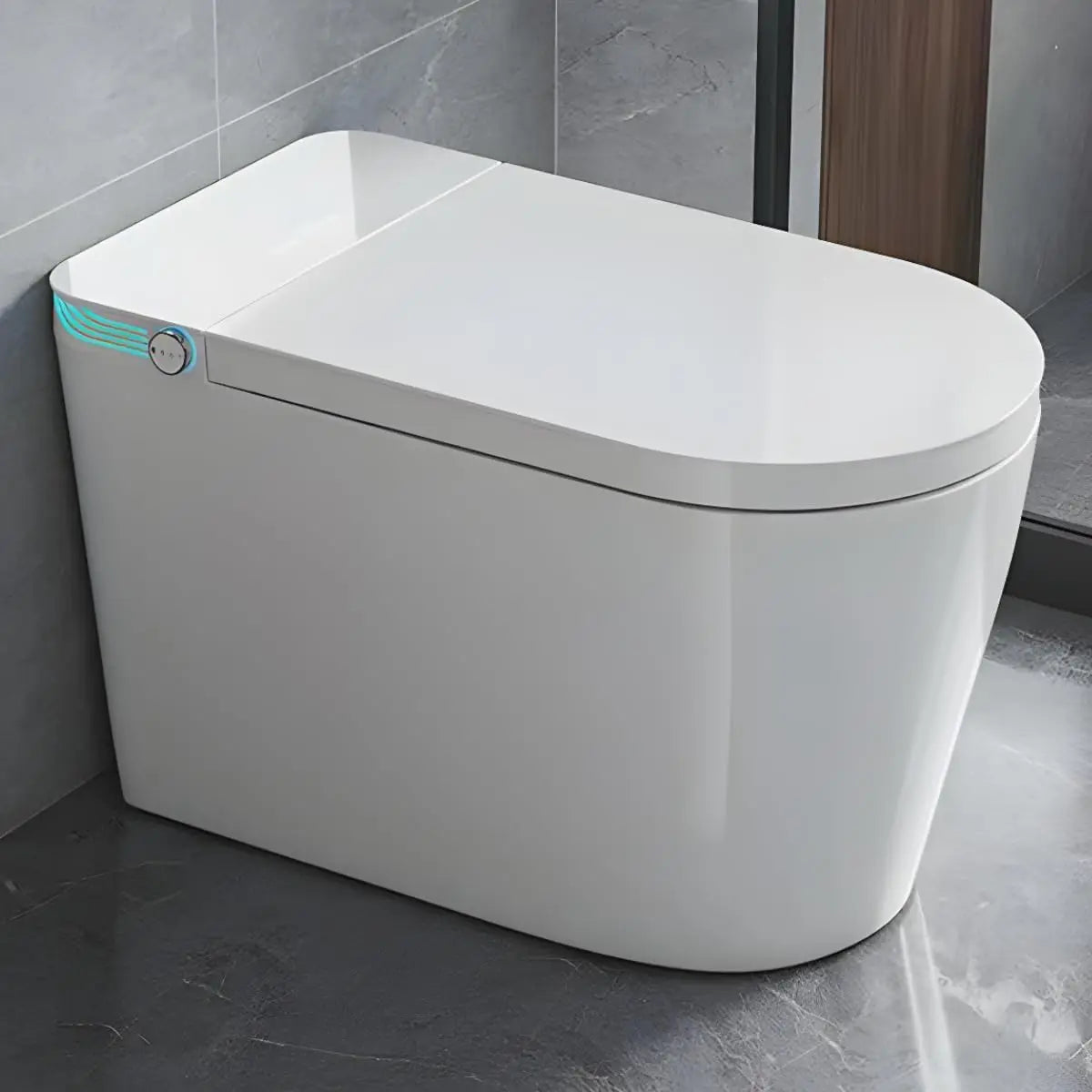 Elongated Tankless Smart Toilet With Bidet And Automatic Flush