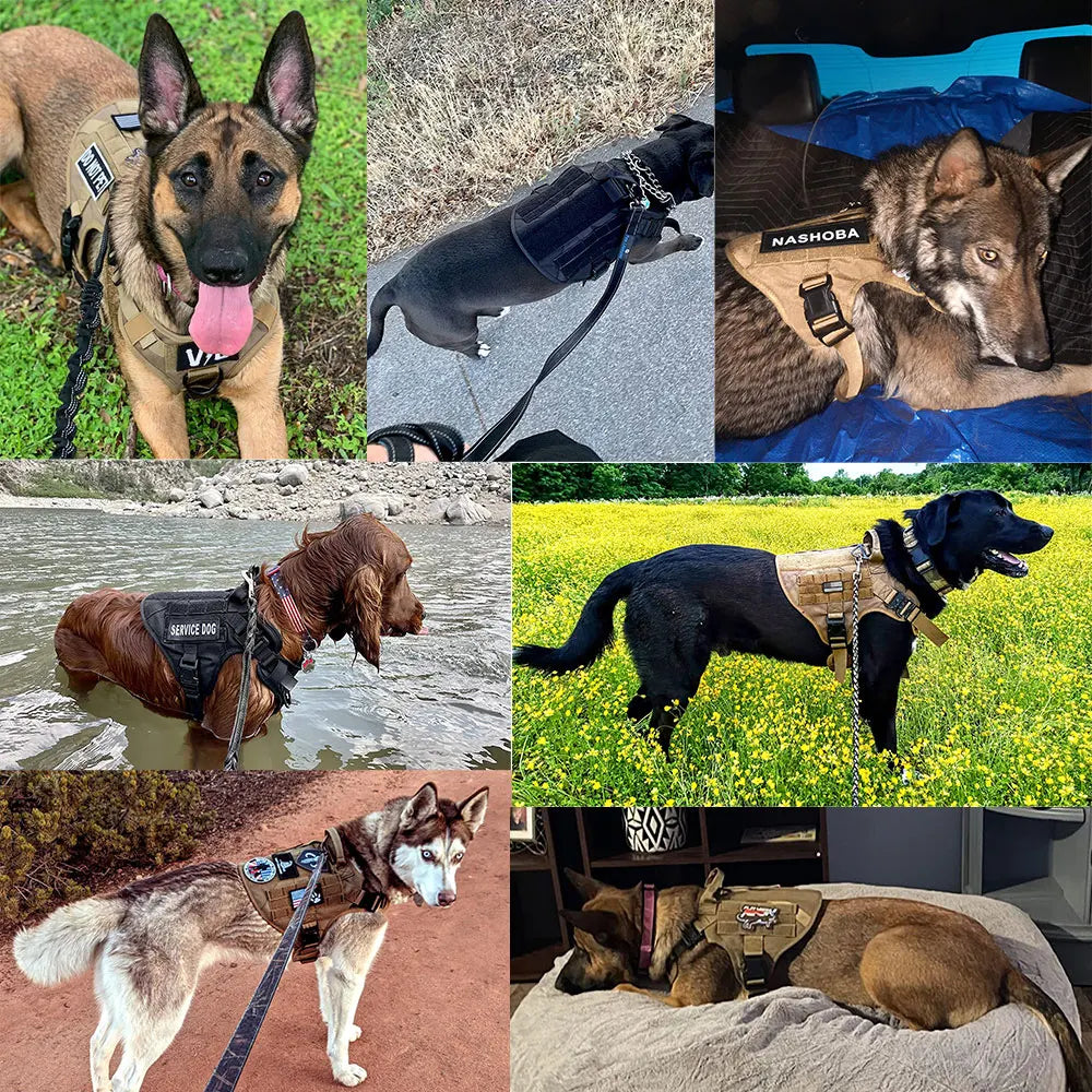 PETRAVELCN Large Dog Harness And Leash Set