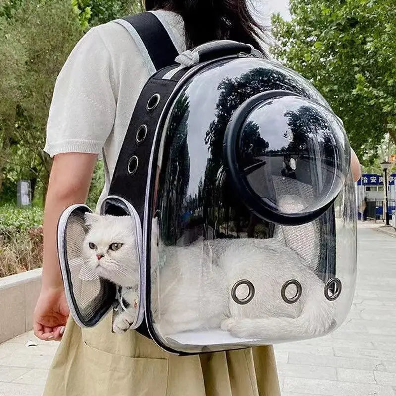 Space Pet Carrier Backpack For Cats And Small Dogs