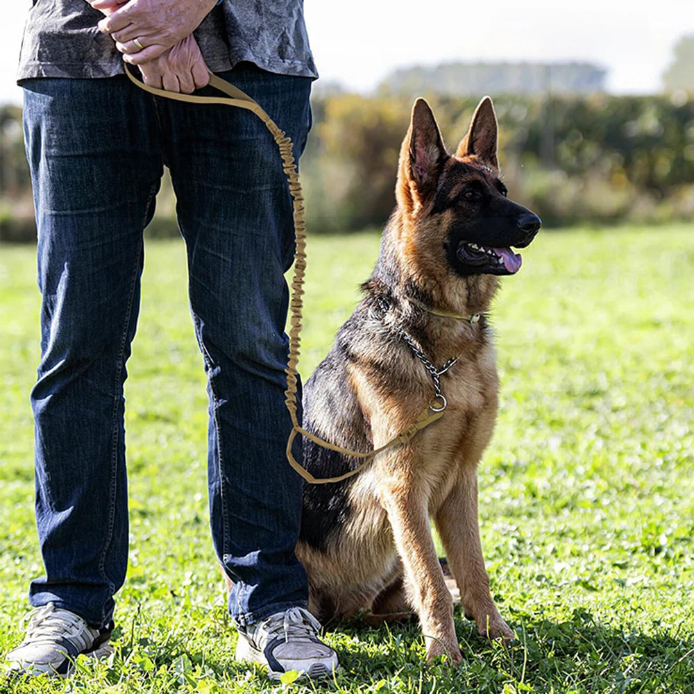 PETRAVELCN Military Dog Leash Adjustable Quick Release Dual Handle